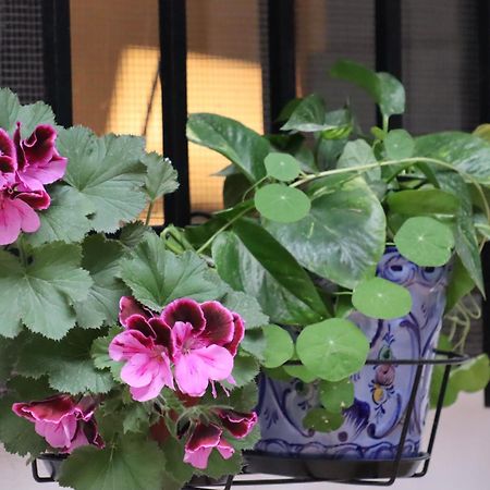 Apartamento Corral De Triana Sewilla Zewnętrze zdjęcie